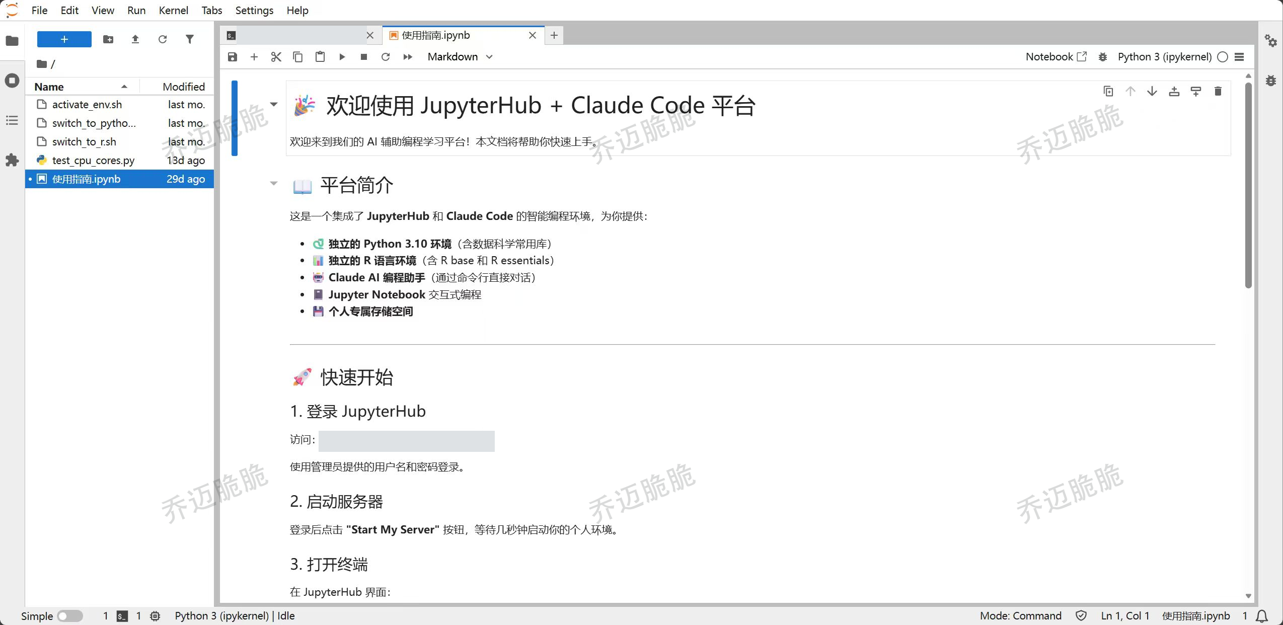 共享平台历史工作区中的使用指南,介绍 Python、R、Jupyter Notebook 与 Claude Code