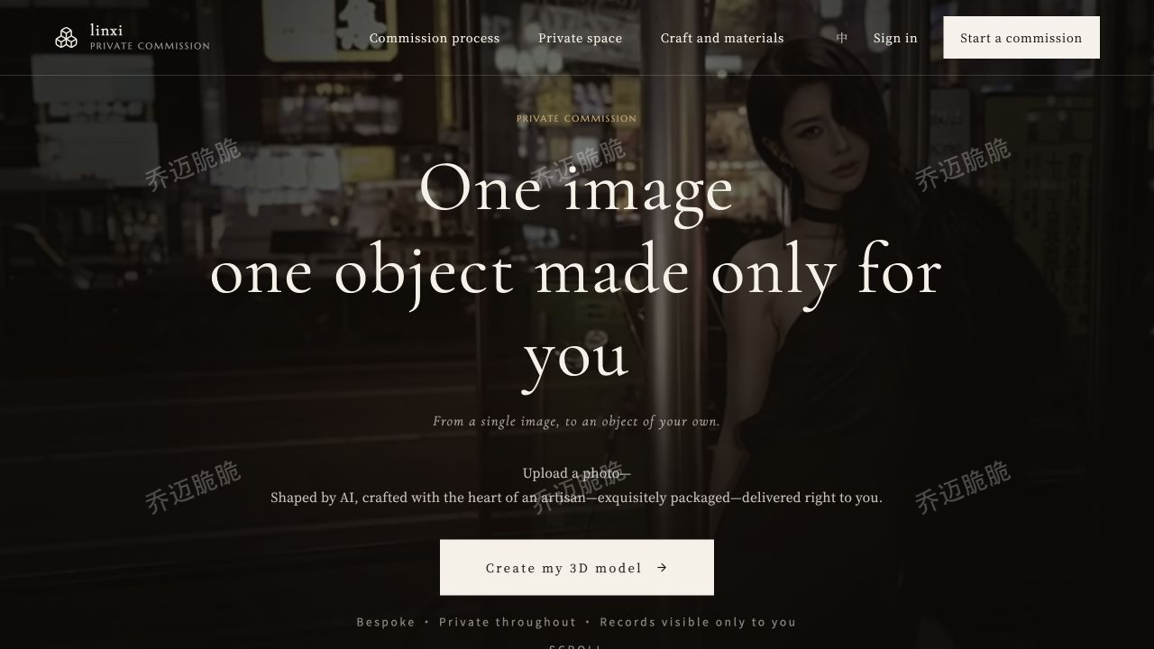 Linxi 当前公开网站首页,展示私人定制产品入口